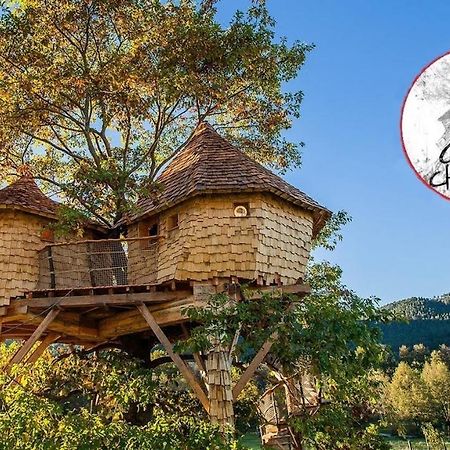 Parthenope - Les Cabanes Du Chene Rouvre Saint-Die-des-Vosges المظهر الخارجي الصورة